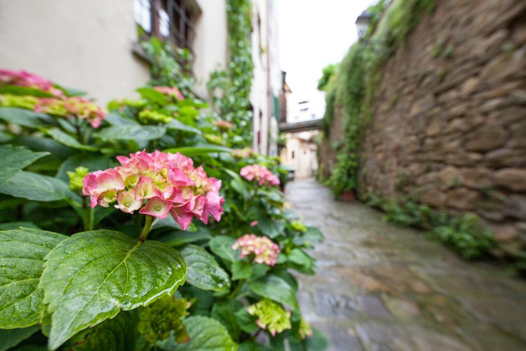 San Michele Al Borgo Bed & Breakfast Castiglion Fiorentino Bagian luar foto